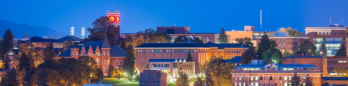 WSU Pullman campus skyline